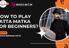 How to play Satta Matka for beginners?